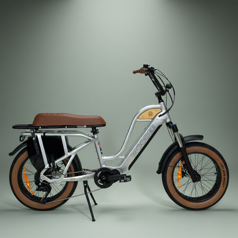 Woodee Beach CAB 20 Shimano EP6 biplace